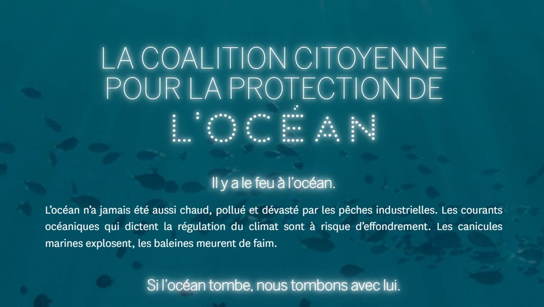 J'ai des millions de bonnes raisons de soutenir la coalition citoyenne pour la protection de l'océan lancée par @Bloom_FR Autant qu'il y a de puffins, de fous, de rorquals, de posidonies, d'hippocampes, de merous... Je pense que c'est plus parlant en images 1/12 #coalitionocean