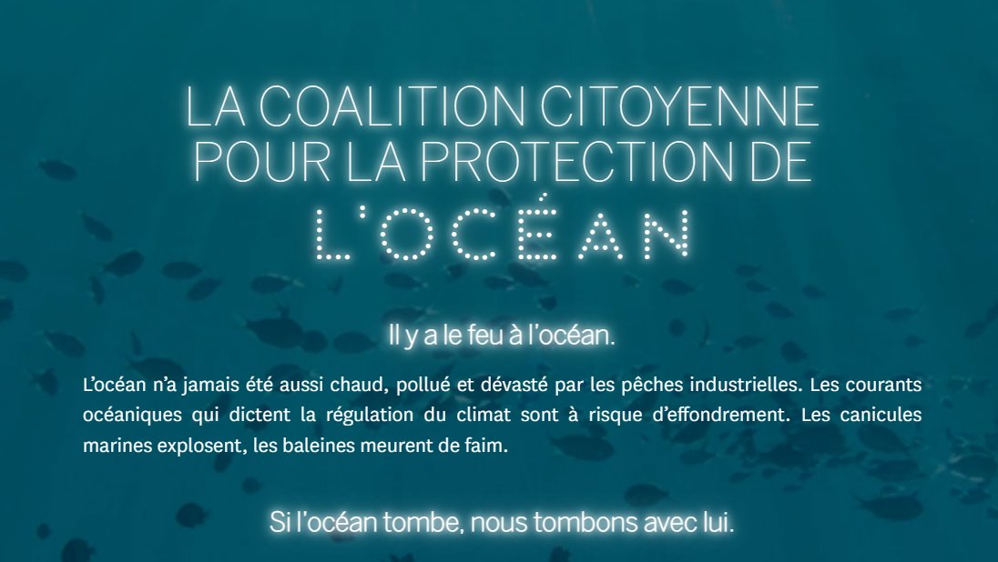 J'ai des millions de bonnes raisons de soutenir la coalition citoyenne pour la protection de l'océan lancée par <a href="/Bloom_FR/">BLOOM Association</a>

Autant qu'il y a de puffins, de fous, de rorquals, de posidonies, d'hippocampes, de merous... Je pense que c'est plus parlant en images
1/12
#coalitionocean