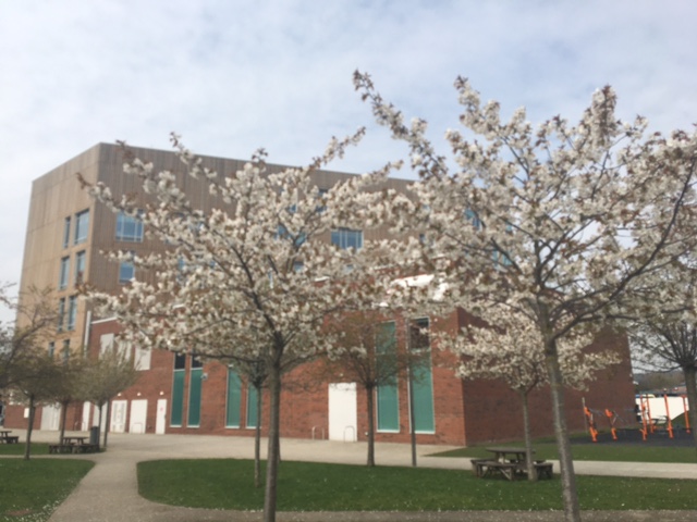 MartinBell1966's tweet photo. Really nice to spend Tuesday at @sheffhallamuni @SHU_AWRC delivering a session on #DigitalHealth integration to the accelerator programme

Great to have been part of this programme &amp; good luck to all those who took part

#NHS #HealthTech #SocialCare #Research #Innovation https://t.co/EamfPPsNYd