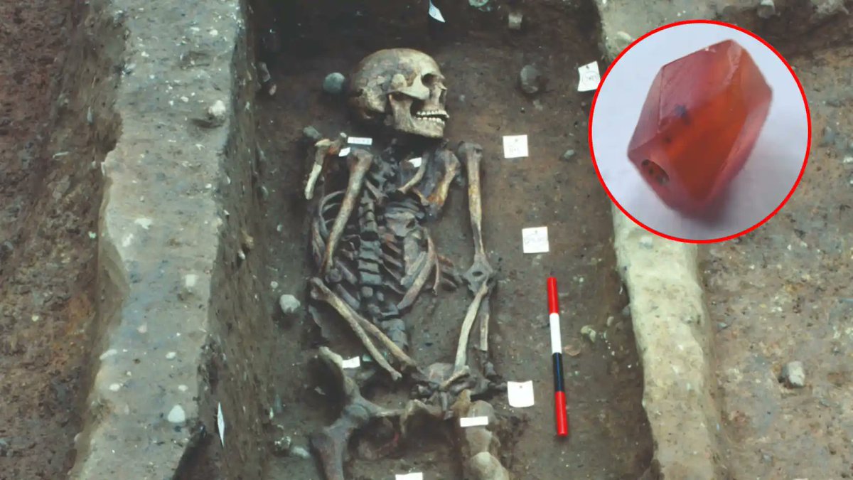 Erik_Villar's tweet photo. En el siglo IX, un guerrero vikingo fue enterrado en Inglaterra con una cuenta naranja de cornalina originaria de la India. Más allá del cómo llegó esa cuenta a Inglaterra están las preguntas de qué es la cornalina y por qué se hacen cuentas de esta piedra
👇🧵⚒️🪨🍊 https://t.co/InIRmmjSS9