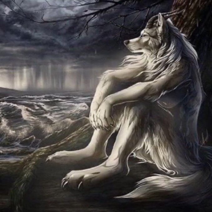 「sitting wolf」 illustration images(Latest)
