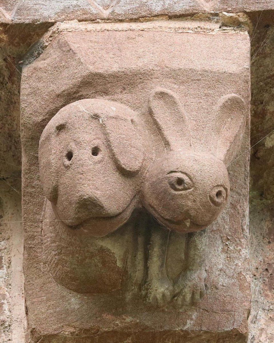 a 12th century stone carving shaped like a dog and a rabbit on the wall of a church in herefordshire, england