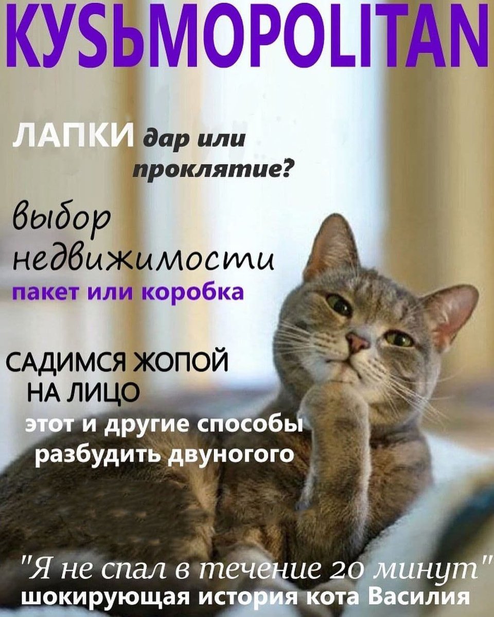 Пьяный Твиттер (@drunktwi) on Twitter photo 