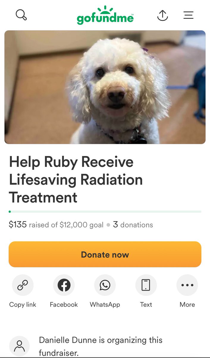 Share to help raise funds for rubys treatment!!! gofund.me/63795282