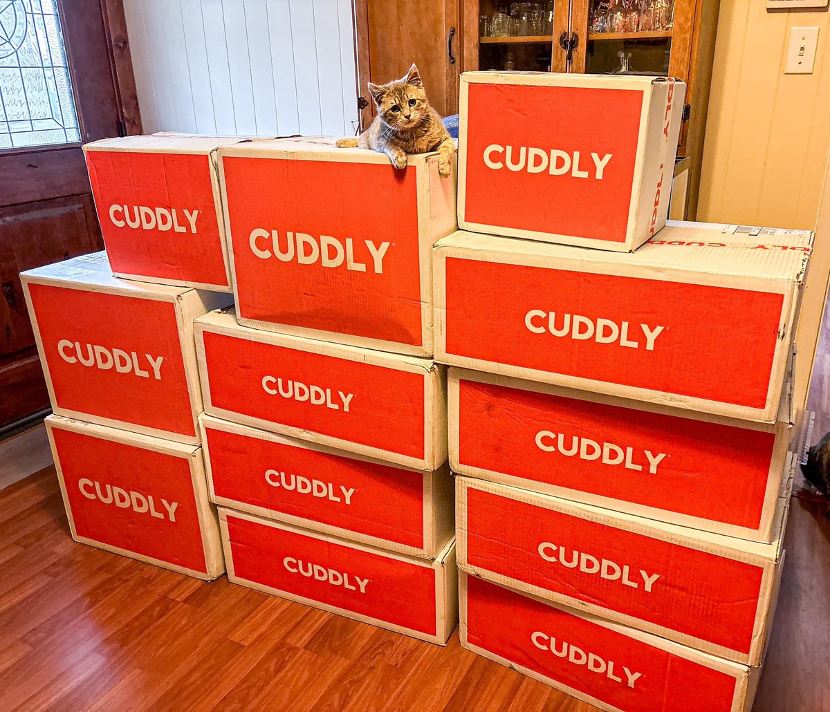 'CUDDLY helped run a fundraiser for general monetary and physical donations. Their donor base really came through for us! We received a large shipment of physical donations just recently... I’m so grateful for CUDDLY and the service that they offer.' - Pepe's Pals Kitten Rescue