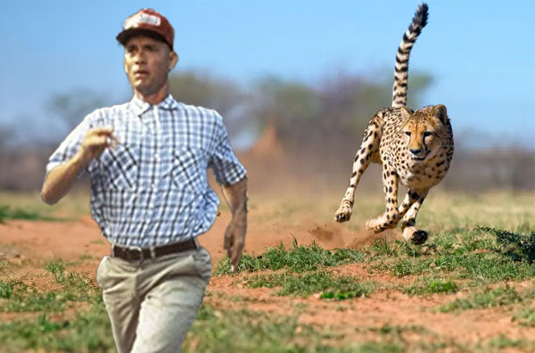 <a href="/DegenHaole/">♱ HAOLE ♱</a> <a href="/SolJakey/">Jakey</a> get $GUMP if he's not too fast to see

GABUhiNJbFRG9QWqKnSubL9z4HMXQSmY9HMCohiiWKDm

t.me/LetEmRun