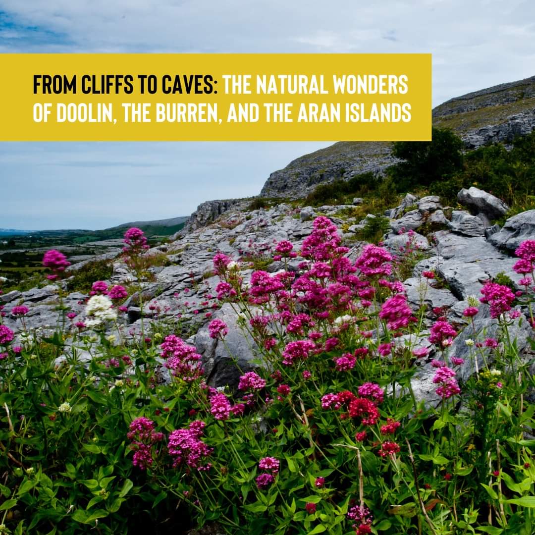 ✨ From Cliffs to Caves: The Natural Wonders of Doolin, the Burren, and the Aran Islands ✨😍 Read the full article here 🔗 doolincave.ie/from-cliffs-to… #doolin #Ireland #Burren #clare