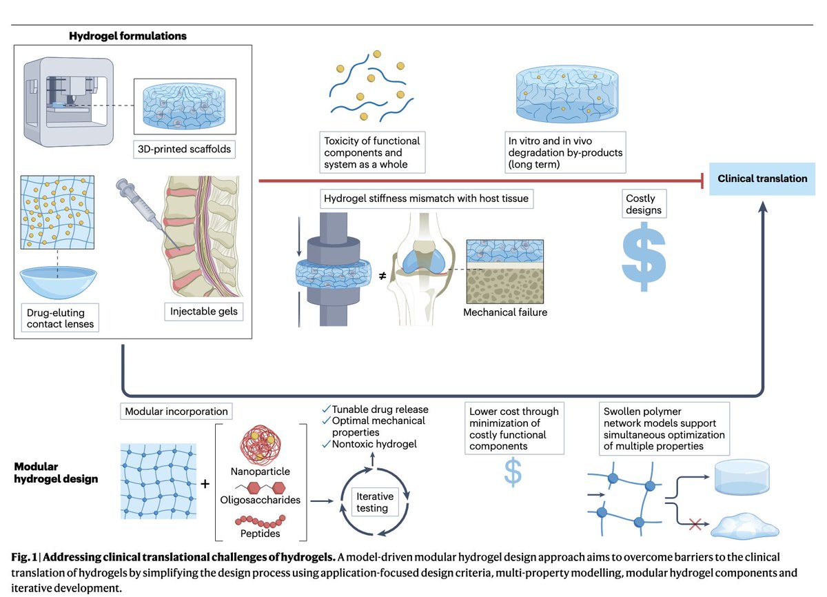 Nicholas A. Peppas tweet media