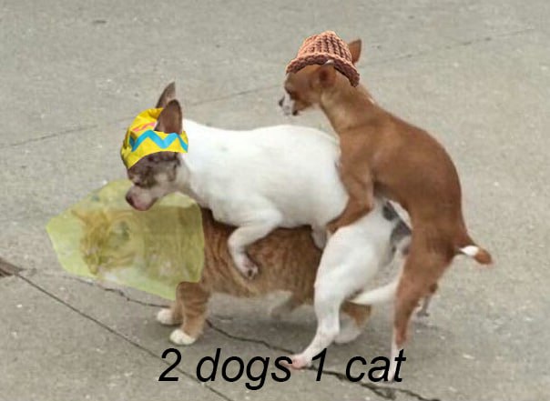 cv_coded's tweet photo. @blknoiz06 hard to fumble when your in the middle #hatstayson $PUKKU

#SolanaMemecoin #1000X
@pukkuwifhatsol https://t.co/3Y7FS5htJd