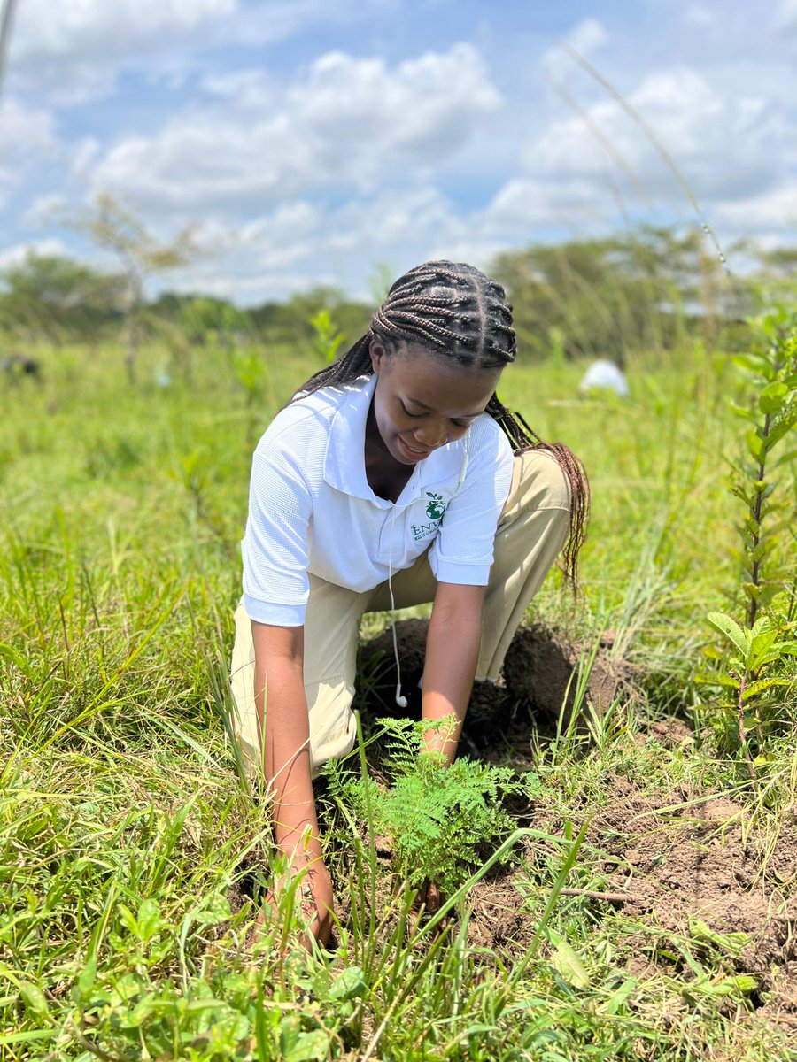 CatherineMutta's tweet photo. Spent the day with these vibrant souls from @AIESEC, planting trees and spreading green love! 🌳💚 @unep @ONECampaign
@GladnessLauwo
#TreePlanting #YouthForNature https://t.co/NbUALXNDLE