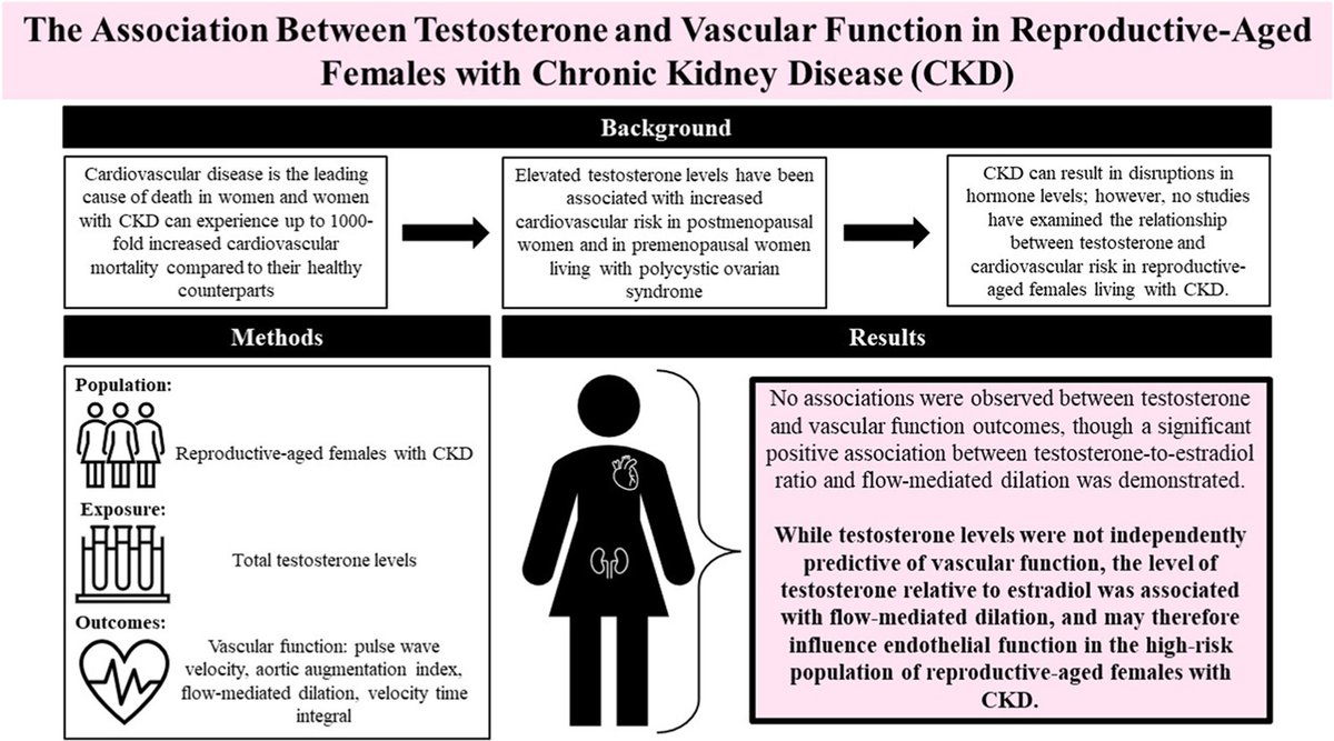 Research shows that testosterone levels aren't independently predictive of vascular function in the high-risk population of reproductive-aged females with #CKD, but the testosterone-to-estradiol ratio may be associated with endothelial function 👉 cjcopen.ca/article/S2589-… 🌎 #CJCO