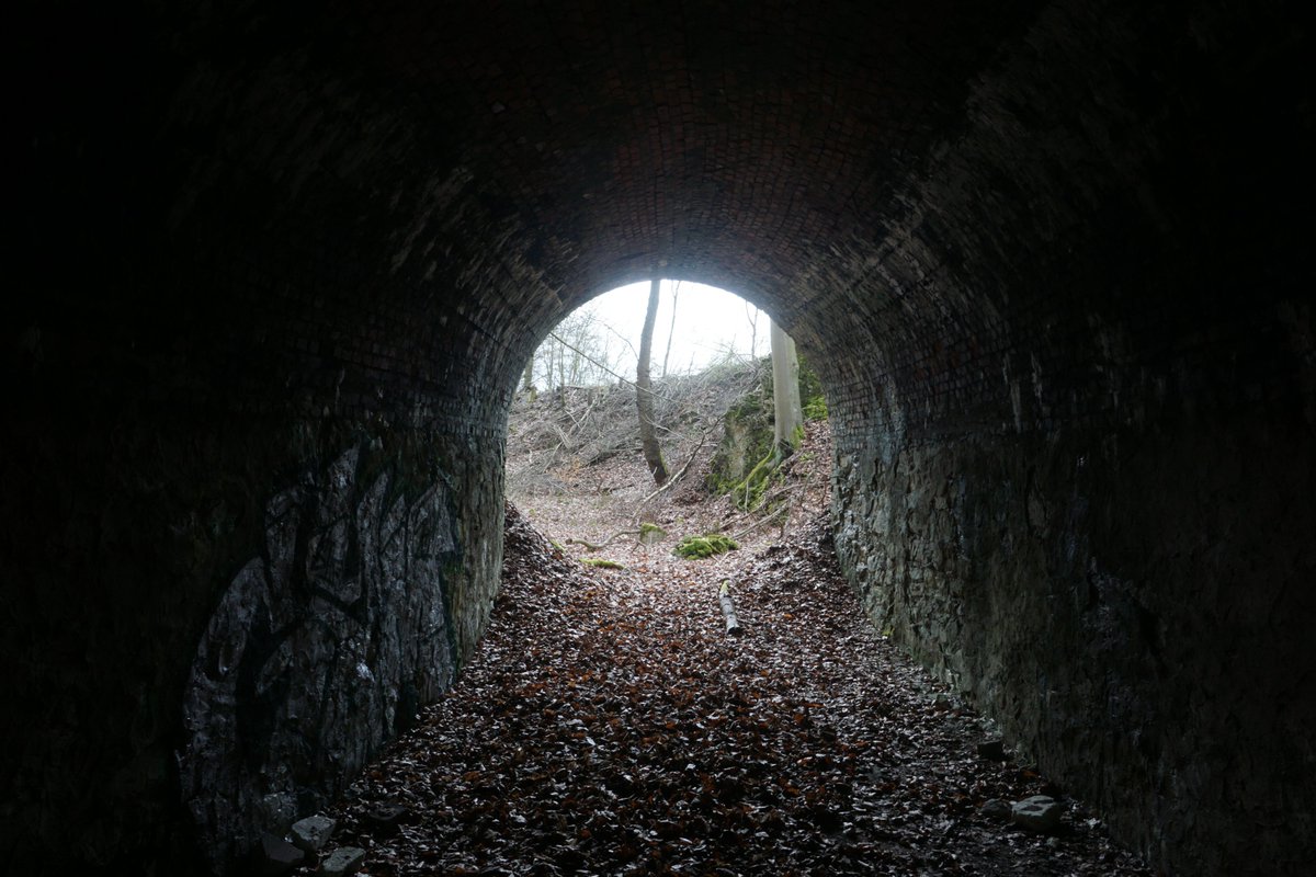 Das 'Loch': Ein #Tunnel bei #Hilter, der im Zusammenhang mit dem einst dort unweit der heute dort verlaufenden A33 betriebenen Kalksteinabbau gestanden hat. #mining #bergbau #underground #teutoburgerwald #teuto #exploring #osnabrück #lostplace #sonyalpha