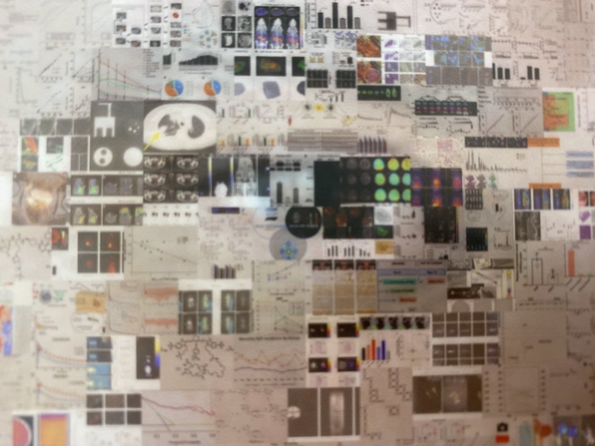 A huge thank you to Professor Marty Pagel @MartyPagel and the WMIS for this amazing gift. A collage of all the 1000's of images and figures published in Molecular Imaging and Biology during my years as Editor-in-Chief. @WMISWMIC @ESMI_society