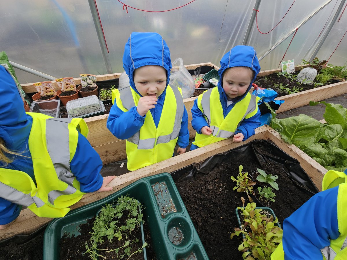 Suzieq1402's tweet photo. Our #Fareplaynursery celebrating 25yrs of @TheGruffaloLive at @FARE_Scotland Community Allotment. Upcycled waterbottles are puppets. @RHSSchools #thegruffalo https://t.co/VulWhxWedq