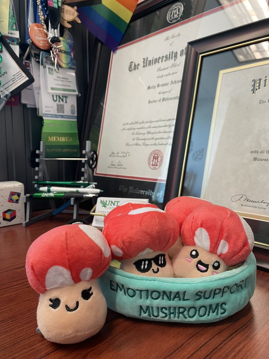 All I gotta say is - I’m thankful for my little emotional support desk mushrooms today I need to go home and start the day over 🫠