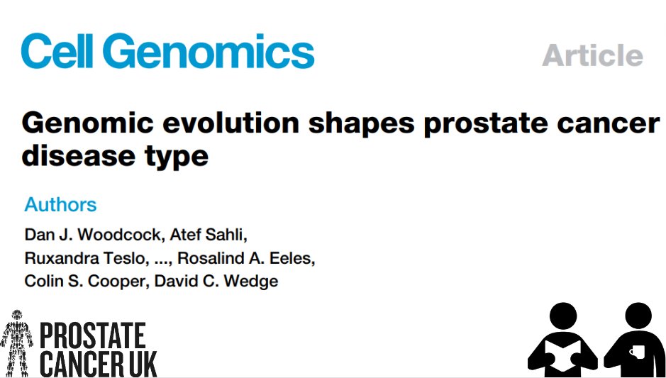 Fab new work from a team led by @danbrewer, @davidcwedge, Prof. Colin Cooper and Prof. Ros Eeles in @cellgenomics showing that #prostatecancer evolves in two distinct types What could this mean for our understanding of men's risk? Grab a ☕ and read: bit.ly/3IRAmJx