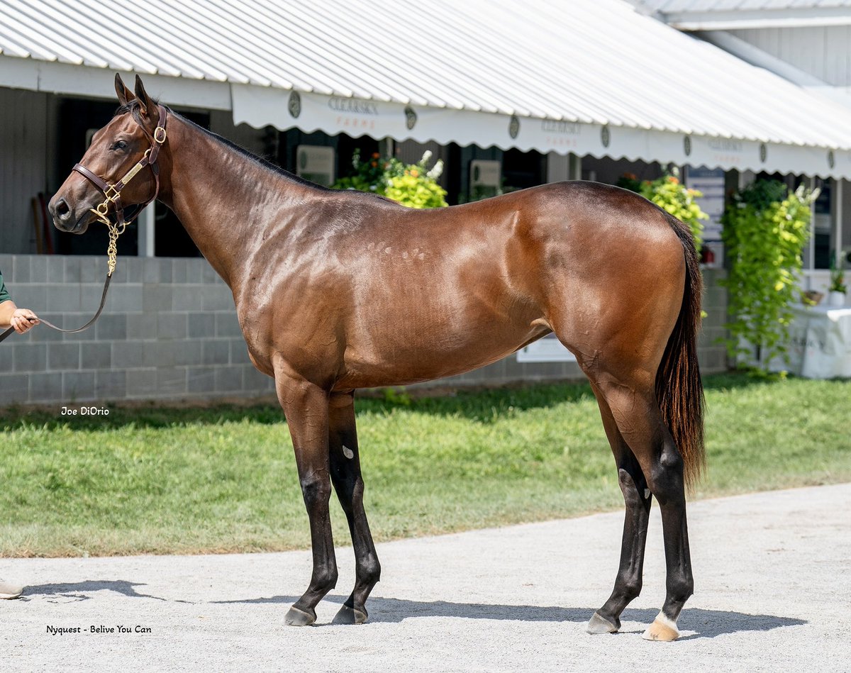 Daughter of Kentucky Oaks winner Believe You Can by Kentucky Derby winner Nyquist has been named “Bells of Maranello” 🇮🇹 @drlanigan @TedDurcan @KerryCauthen @barrylacy1 @AirdrieStud @keenelandsales #TeamAsmussen