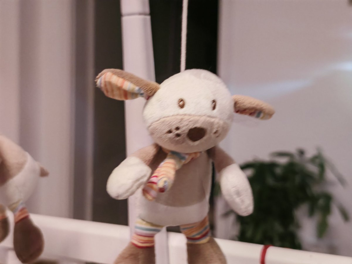 llelectronics's tweet image. Still surprised how the #Honor #Magic6Pro is nr.1 on dx0mark. @Honorglobal portrait mode needs fixing. Using natural colours mode there is a huge colour shift to super dull colours at 2x (happens post capture). Eyebrows redrawing that look super fake is also fixable.