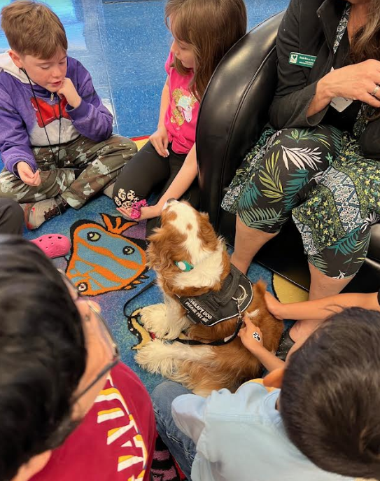 McQElemLibrary's tweet photo. Ms. Wolfe's 3rd graders enjoyed another visit today from Cooper, the therapy dog!🩷🐕‍🦺🐶 Congrats once again to these hardworking readers for winning our February "For the Love of Reading" challenge on Beanstack! 🎉@zoobeanreads #SeguinReads #WeAreSeguin
@SeguinISD @McQueeneyESISD https://t.co/mwzvL7uC63
