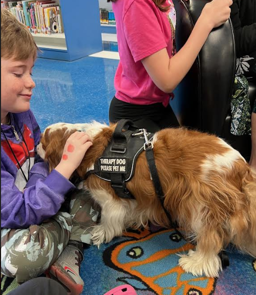 Ms. Wolfe's 3rd graders enjoyed another visit today from Cooper, the therapy dog!🩷🐕‍🦺🐶 Congrats once again to these hardworking readers for winning our February 'For the Love of Reading' challenge on Beanstack! 🎉@zoobeanreads #SeguinReads #WeAreSeguin @SeguinISD @McQueeneyESISD