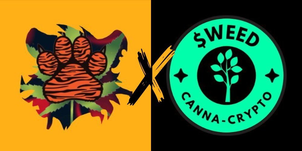 @Stoned_Tigers X @dollaweedsol All Stoned Tigers holders will recieve an Airdrop of $WEED 🍃🐅 Allocation: 1M tokens Holders: 769 Tokens per holder: 13,000 Ya all thought we forgot about you? - Not at all, it's Memecoins season 😌✌️