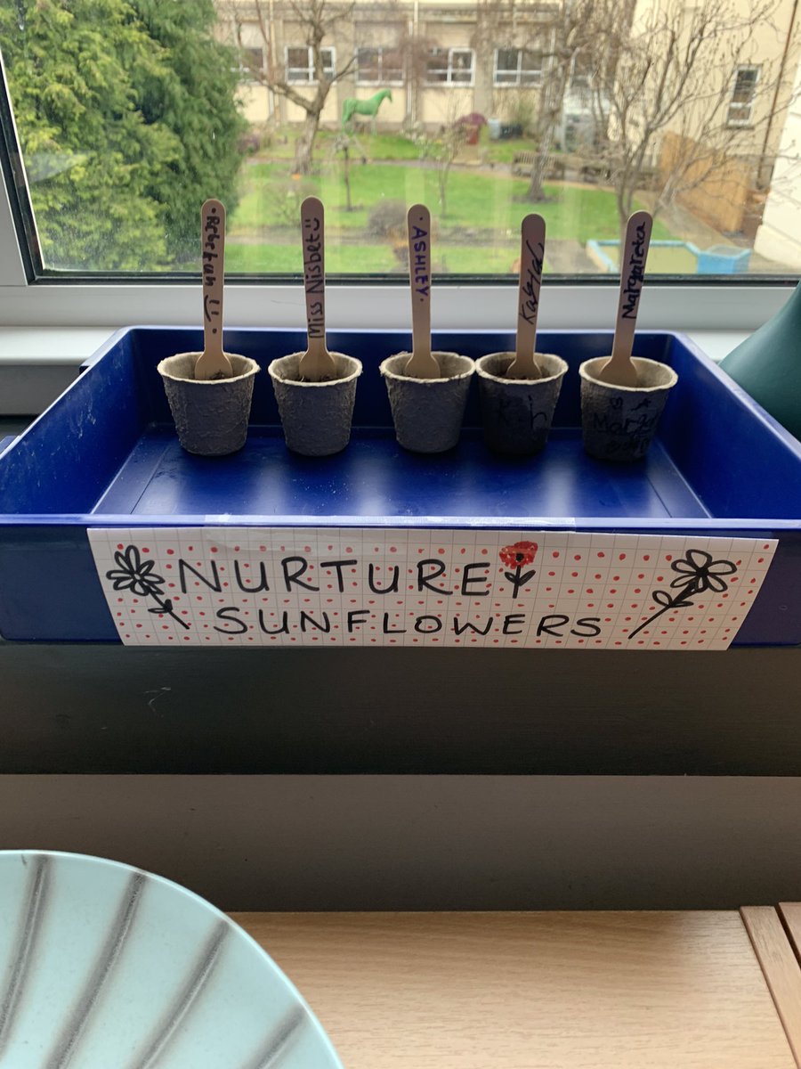 Mrs McLean tweet media