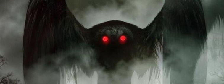 I can't be the only #Fortean minded person who immediately wondered whether the Mothman was back... #baltimorebridge @forteantimes