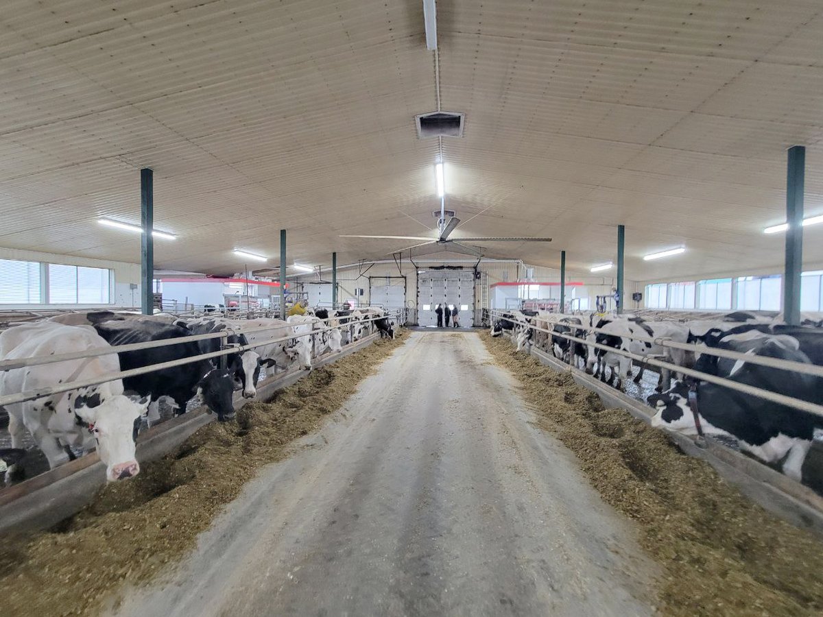 GRRobotics's tweet photo. Today we had the pleasure of starting up the Bouwman family! This was a retrofit project featuring 2 Lely A5s, 2 Lely Collectors &amp; 2 #Hoofcount Footbaths along with their already existing #Lely Juno 100.
Congrats to the Bouwman's on their successful start-up!
#Grandriverrobotics https://t.co/KjMTGpRDlB