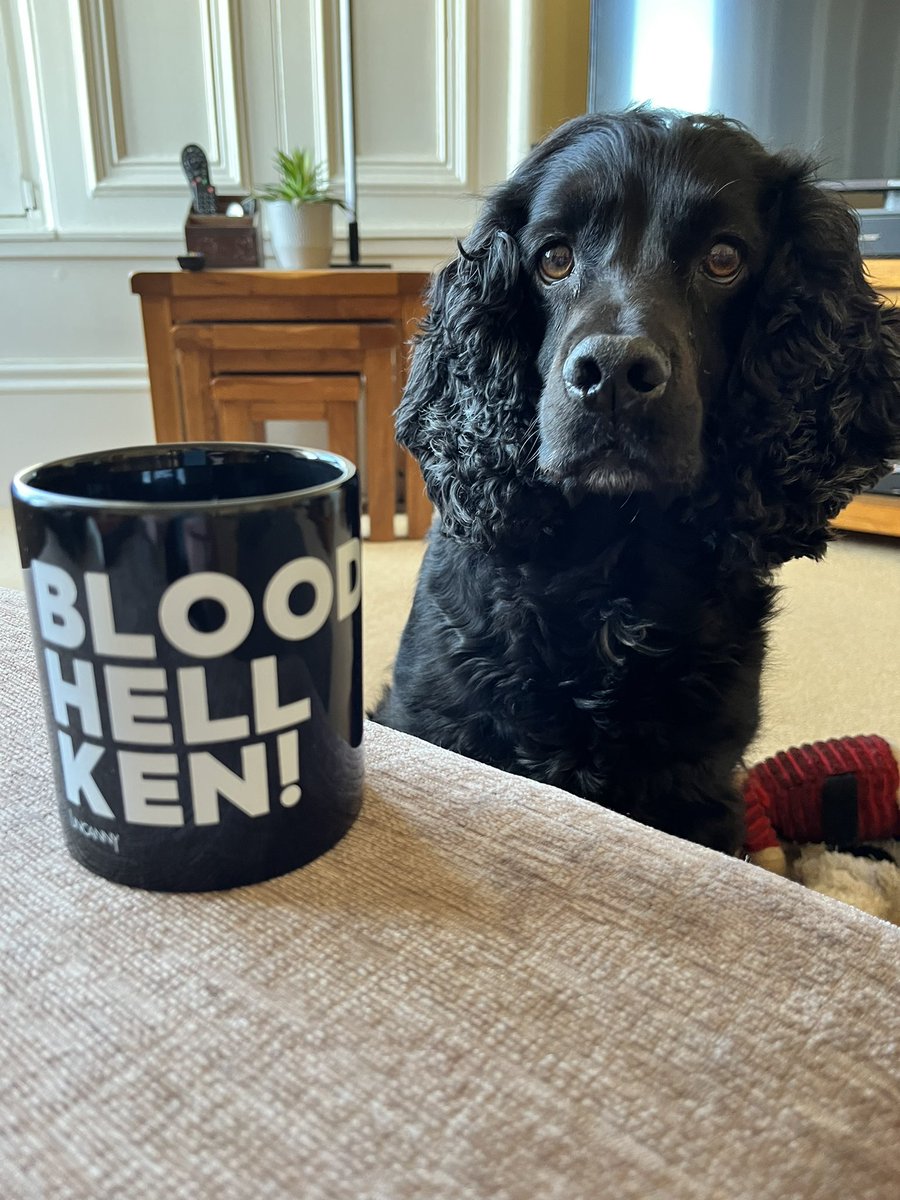 Had a ruff week? We're paw-sitive this #Uncanny fan can cheer you up! 🐶📸 @DrJayMcGBee #BloodyHellKen
