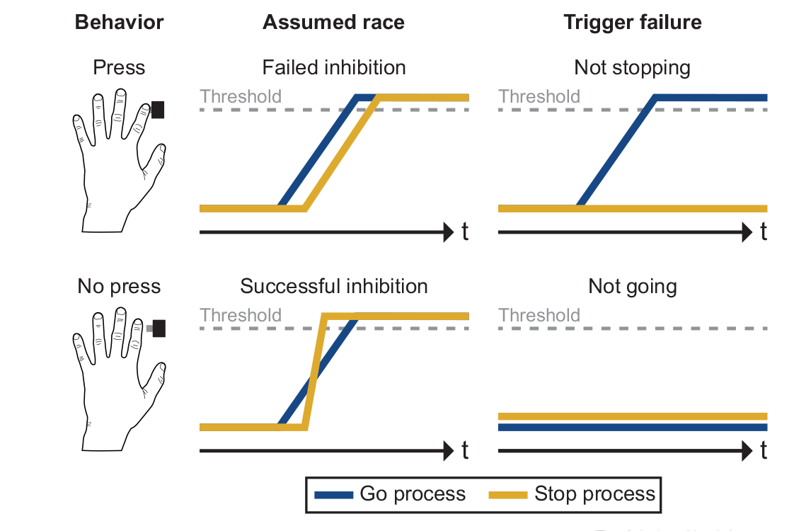 Failures to launch preclude response inhibition FORUM by Corey Wadsley (@CoreyWadsley) & Ian Greenhouse (@Greenhouse_Lab) Free access until May 10: authors.elsevier.com/a/1ioJZ4sIRvTA…