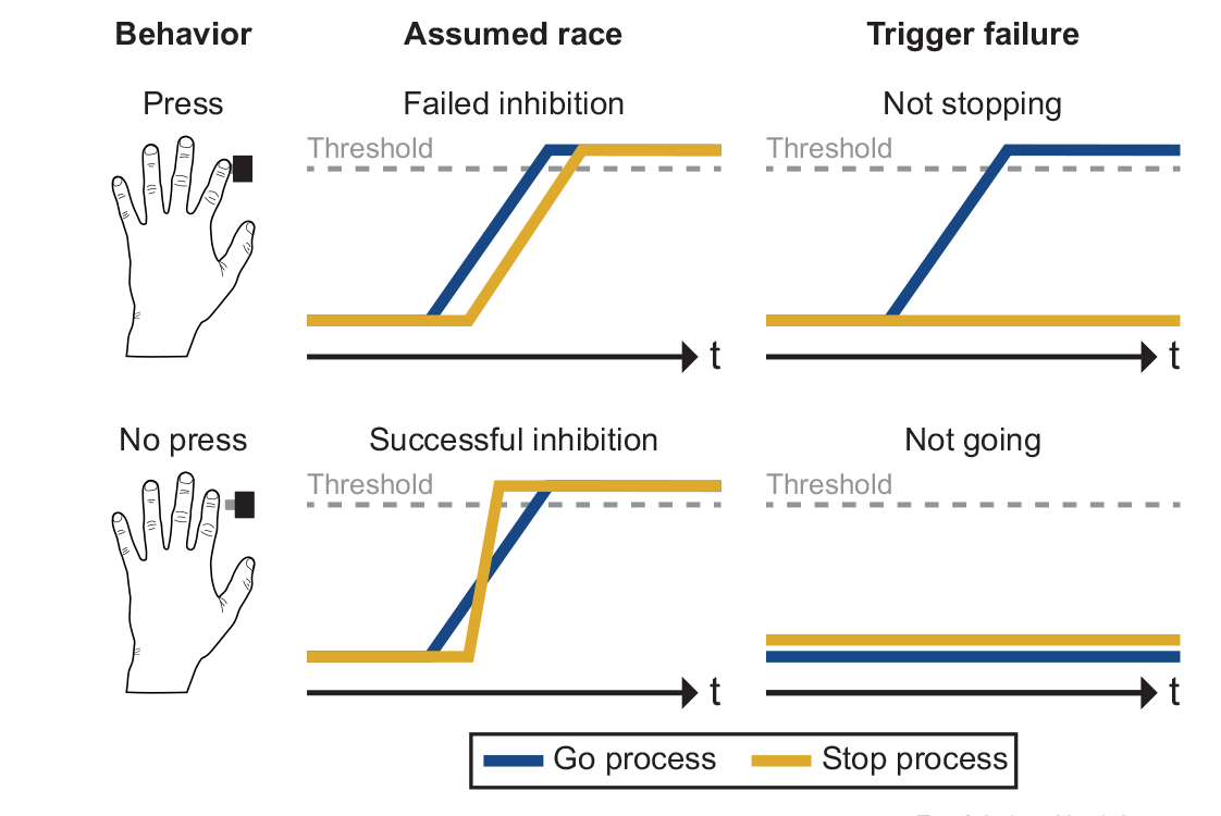 Trends in Cognitive Sciences (@trendscognsci) on Twitter photo Failures to launch preclude response inhibition
FORUM by Corey Wadsley (<a href="/CoreyWadsley/">Corey Wadsley</a>) & Ian Greenhouse (<a href="/Greenhouse_Lab/">Ian Greenhouse</a>)
Free access until May 10: authors.elsevier.com/a/1ioJZ4sIRvTA… Failures to launch preclude response inhibition
FORUM by Corey Wadsley (<a href="/CoreyWadsley/">Corey Wadsley</a>) & Ian Greenhouse (<a href="/Greenhouse_Lab/">Ian Greenhouse</a>)
Free access until May 10: authors.elsevier.com/a/1ioJZ4sIRvTA…