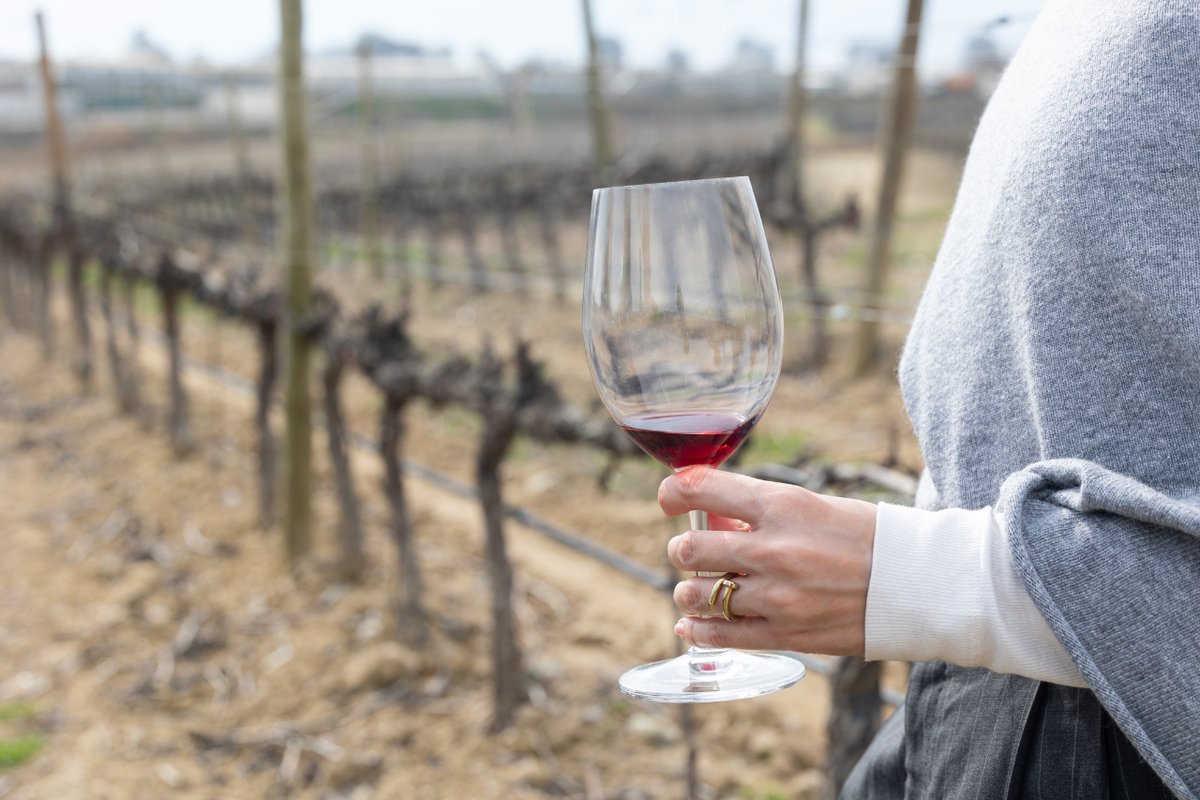 🍷 ¿Con qué vino empiezas la Semana Santa?