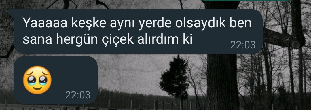 arkadaşlar çok aşığım diyorum anlasaniza🥺 @gunelsworld