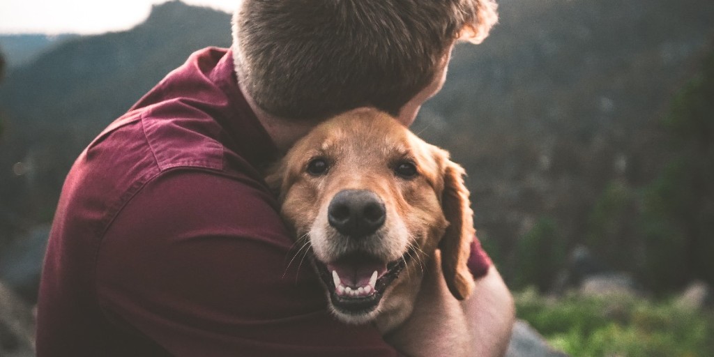 Here in the Elan Valley, we love dogs! But we ask that you are responsible while out walking with your pet. Our estate has a lot of free-roaming livestock so it is essential that dogs are kept under close control and on leads. Thank you!