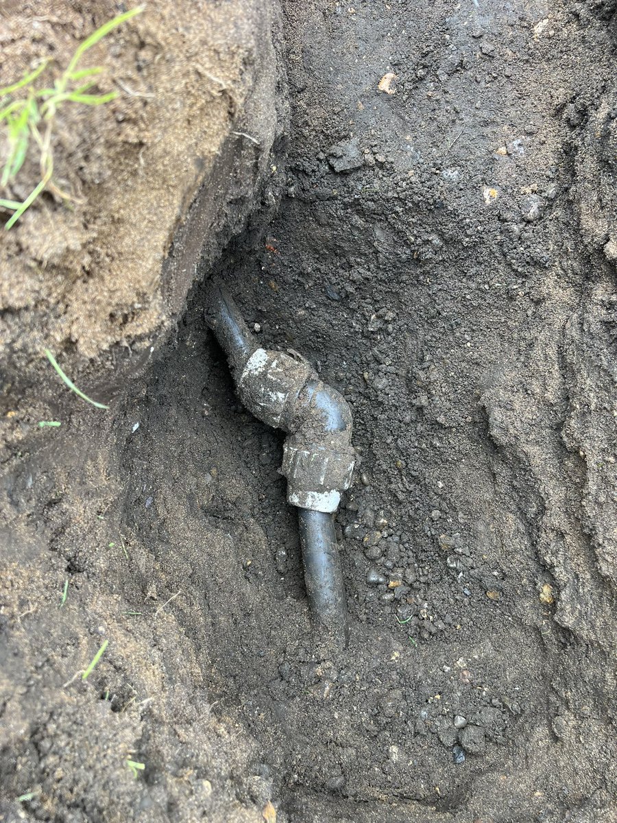 Andre Holt tweet media