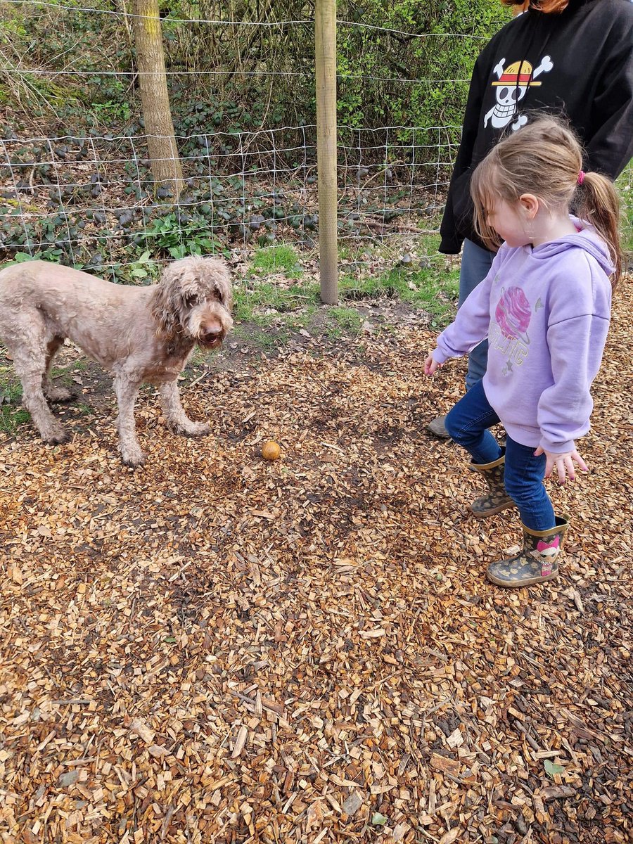 BSpaceUK's tweet photo. We've had a fab day 2 of Dudley HAF delivery today 🥳 Our therapy dog, Worzel, was onsite making sure everyone felt very welcome and our chickens and ducks enjoyed having cuddles with the kids and the chance for a little sunbathe 🌞🐔🦆 https://t.co/kfRlzvOZHk