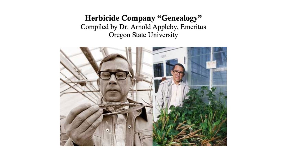So much goes into #research, product development, screening, etc. when it comes to #herbicide innovations. Dr. Arnold Appleby created this clever “geneaology” to understand industry relationships over time.

wsweedscience.org/wp-content/upl…

#WSWS #herbicides #invasiveplants #weedscience