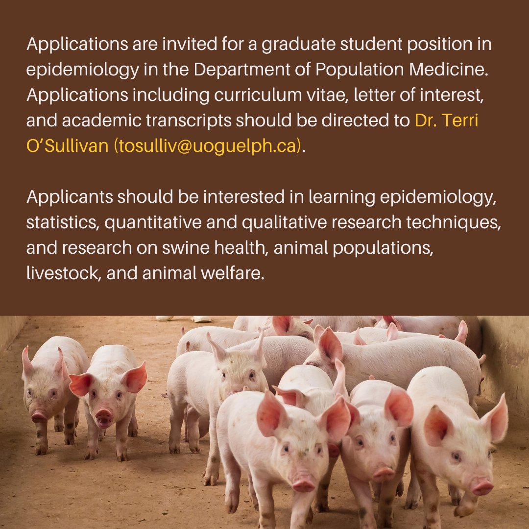 MSc. opportunity in epidemiology! Dr. Terri O'Sullivan (@TerriODVM) @OntVetCollege is recruiting a graduate student in epidemiology to investigate the welfare implications of using needle-free technology for administering medication to piglets. Details in graphics below.