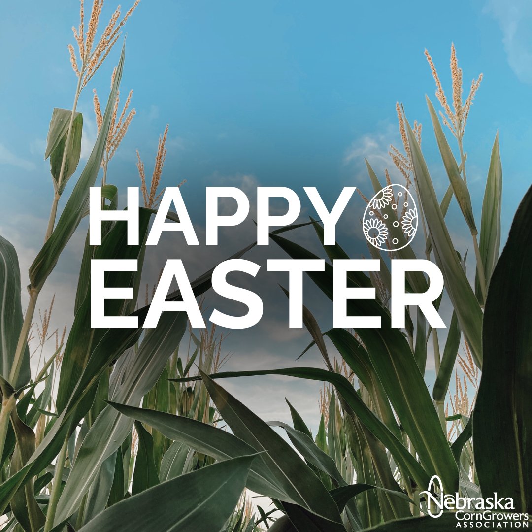Happy Easter to all of our members! We hope your weekend is full of good food, friends and family! #Easter #Spring #NeCGA