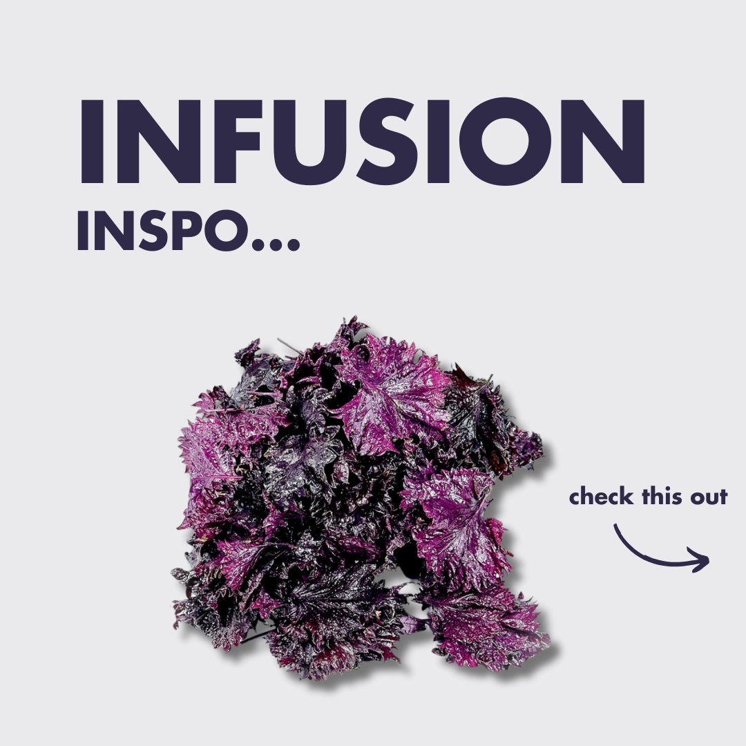 WestlandsUK's tweet image. Here are a few of our ideas... but we want to hear yours! Comment below your thoughts 🤔⬇️

#Infusions #Inspiration #BritishProduce