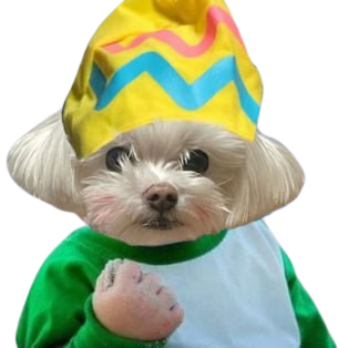 cv_coded's tweet photo. @CoinMarketCap thats easy $PUKKU cute white fluffy dog that lives with $WIF and $BAG https://t.co/6Hk3nJ8PYN