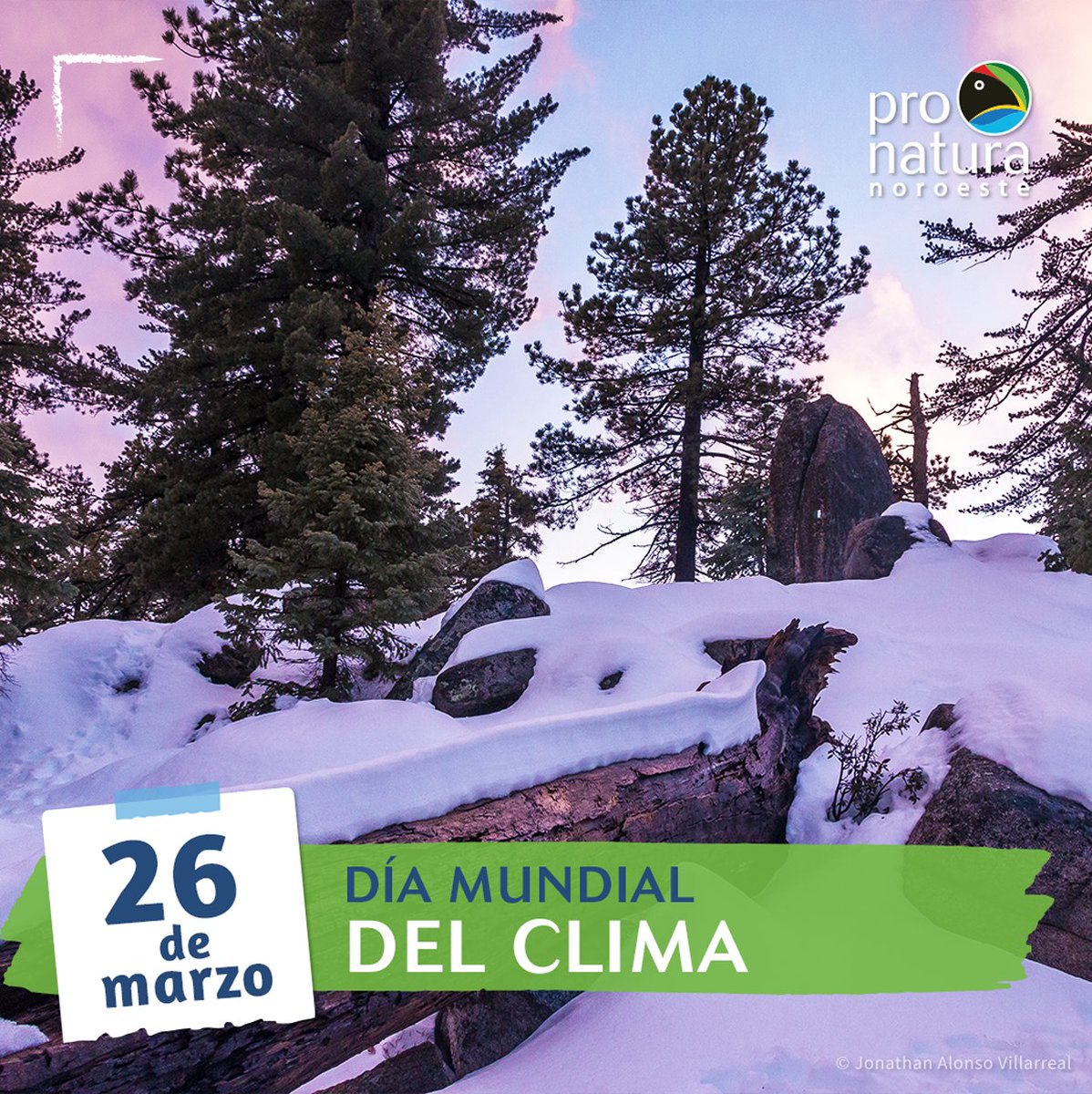 ¡Feliz Día Mundial del Clima! En Pronatura Noroeste, celebramos este día con acciones hacia la restauración de ecosistemas prioritarios, contribuyendo significativamente a la mitigación del cambio climático. pronatura-noroeste.org/contribuye/ #DíaMundialDelClima #Restauración