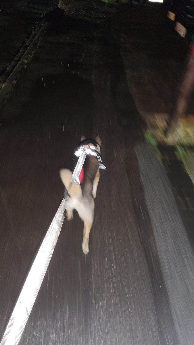 Dr Helen Hull tweet media