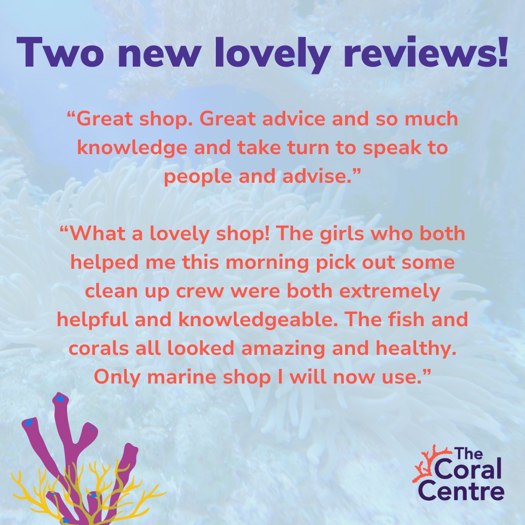 Great way to start the week, with two great reviews that the team received over the last few weeks. Thank you for your continued support and loyalty! 💜