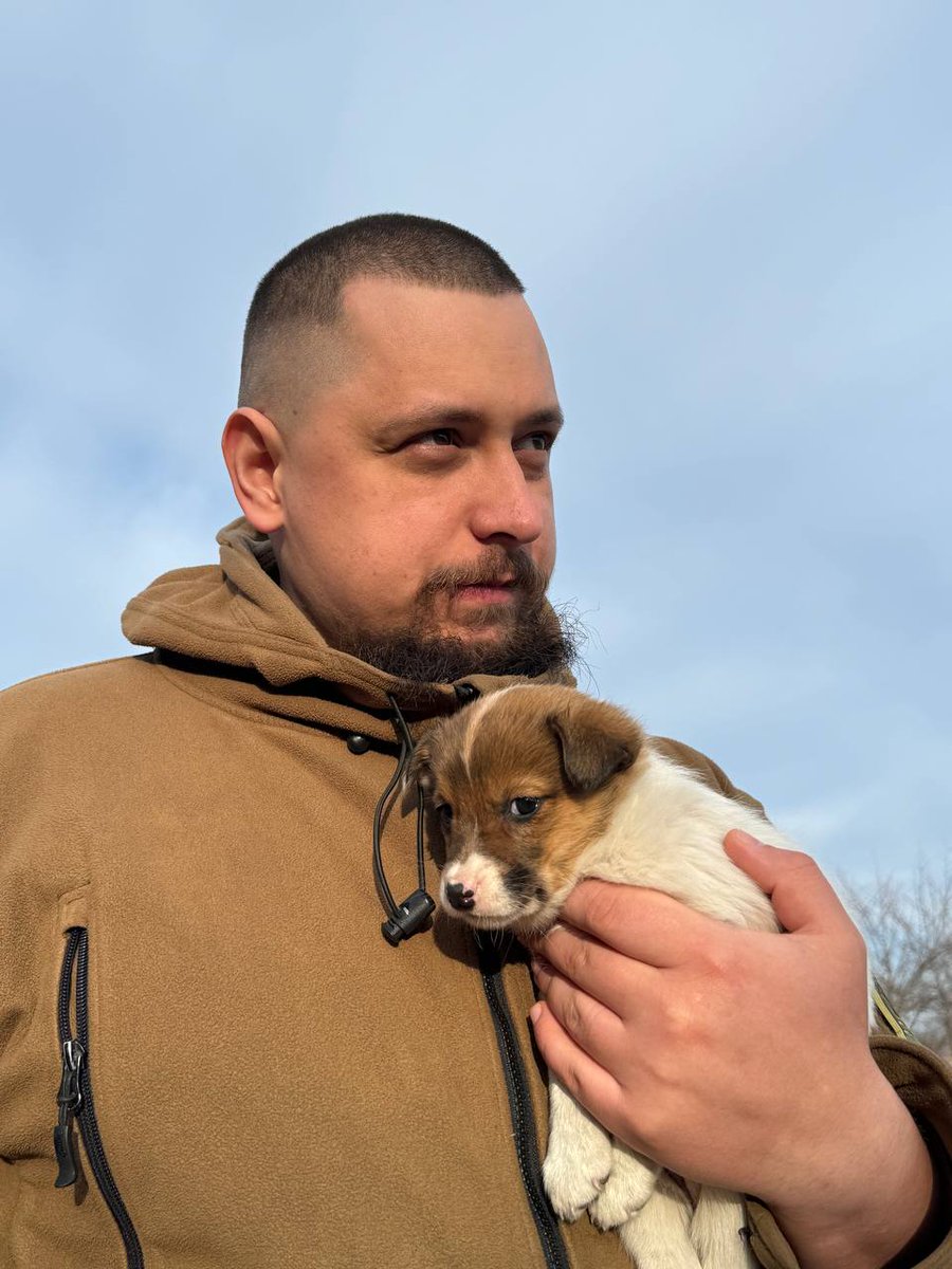 During the war, there are many homeless animals that we rescue and they start living with us. Later, we find them new owners and pass them on.