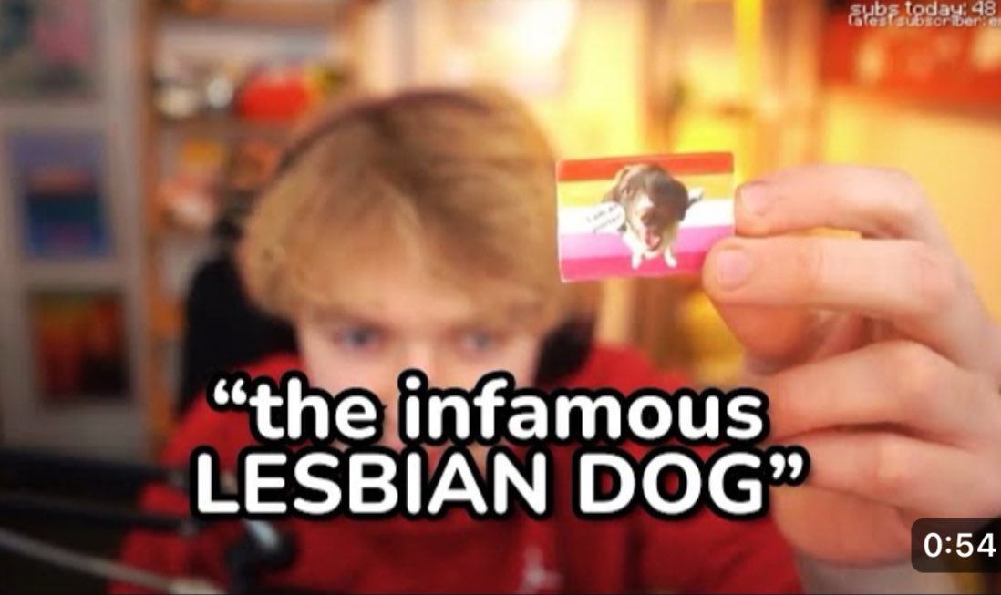 mellohibench's tweet image. i think my biggest accomplishment in life is how many times i’ve given tommyinnit a lesbian flag to keep or hold. this has done great things for society