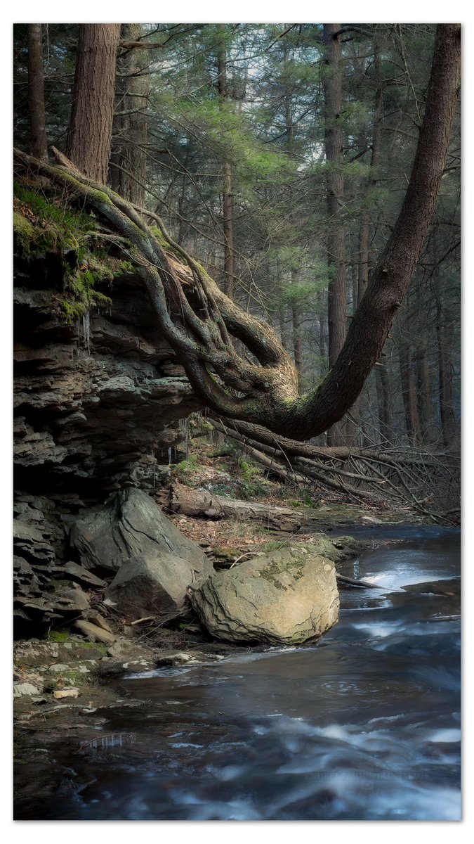 EndlessMtnImage's tweet photo. @BraydenCreation Here is my latest hope you enjoy! Drop a follow, or check me out on IG! @endlessmountainimage https://t.co/Wp5ew2dZ0X