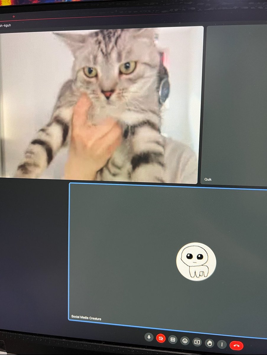 my coworker got a cat