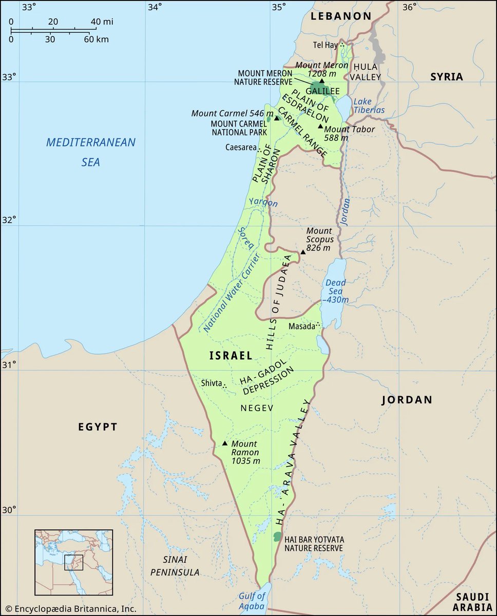 BlackRedGuard ☭ 🇵🇸 🔻 (@ogblackredguard) on Twitter photo 