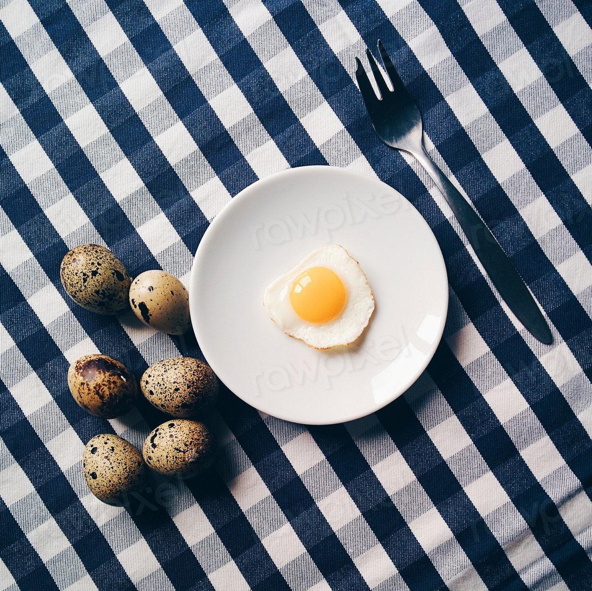 QuailManPerry's tweet photo. Eggciting Varieties: Exploring Quail Egg Colors and Patterns https://t.co/P0zRcMzj8W https://t.co/oa96kA9I71